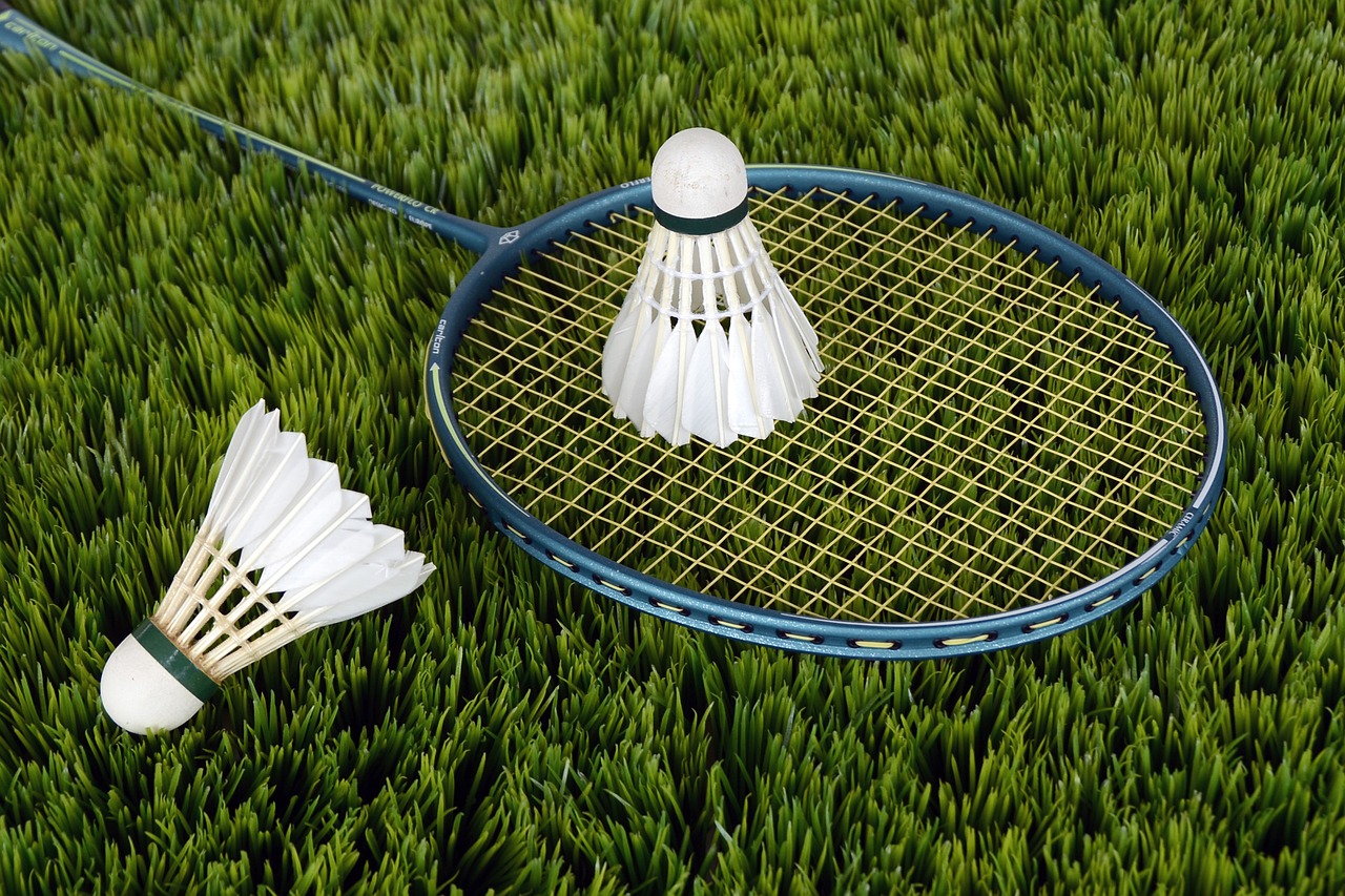 Badminton Téteghem