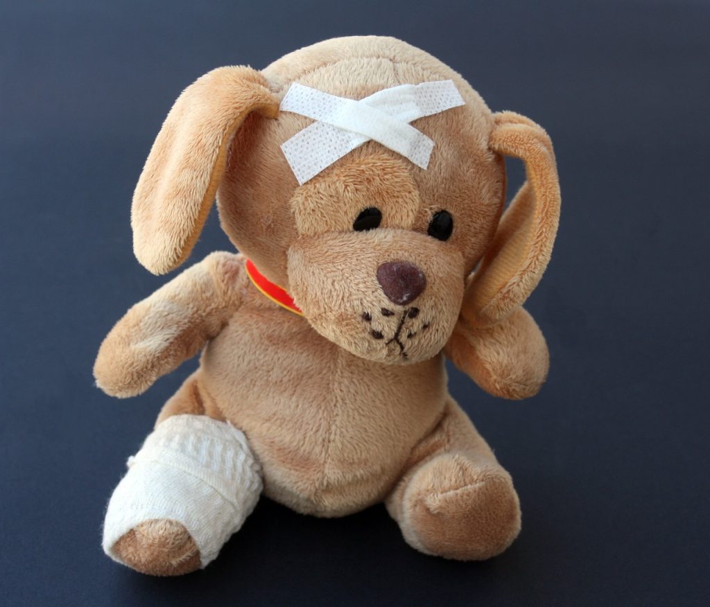 teddy, dog, stuffed animal-242851.jpg